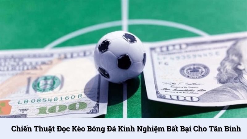 Chiến thuật đọc kèo bóng đá kinh nghiệm bất bại cho tân binh