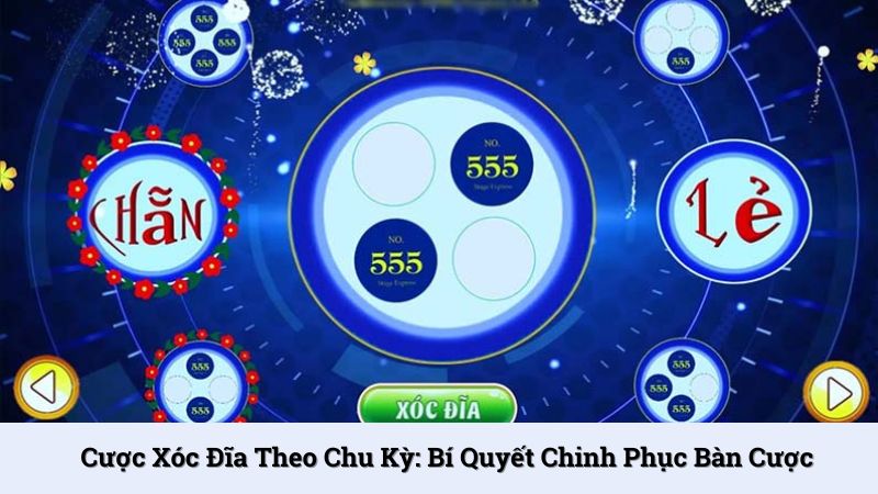 Cược xóc đĩa theo chu kỳ: Bí quyết chinh phục bàn cược