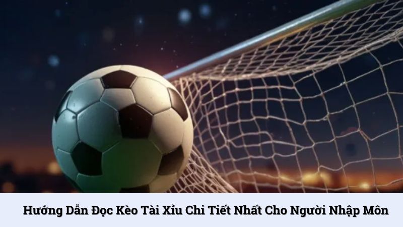 Hướng dẫn đọc kèo tài xỉu chi tiết nhất cho người nhập môn