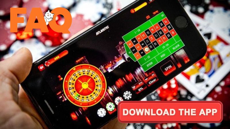 Câu hỏi thường gặp khi tải Vibet