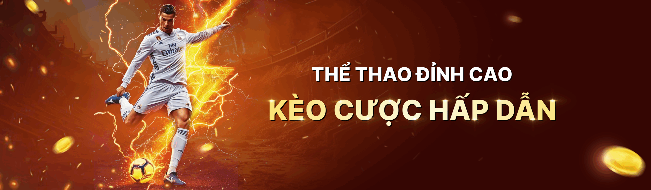 vibet banner thể thao